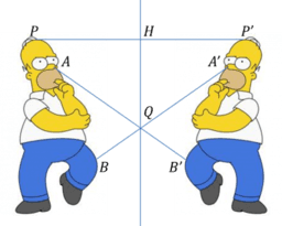 Laboratorio sulla Riflessione