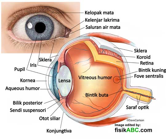 sumber : fisikabc.com