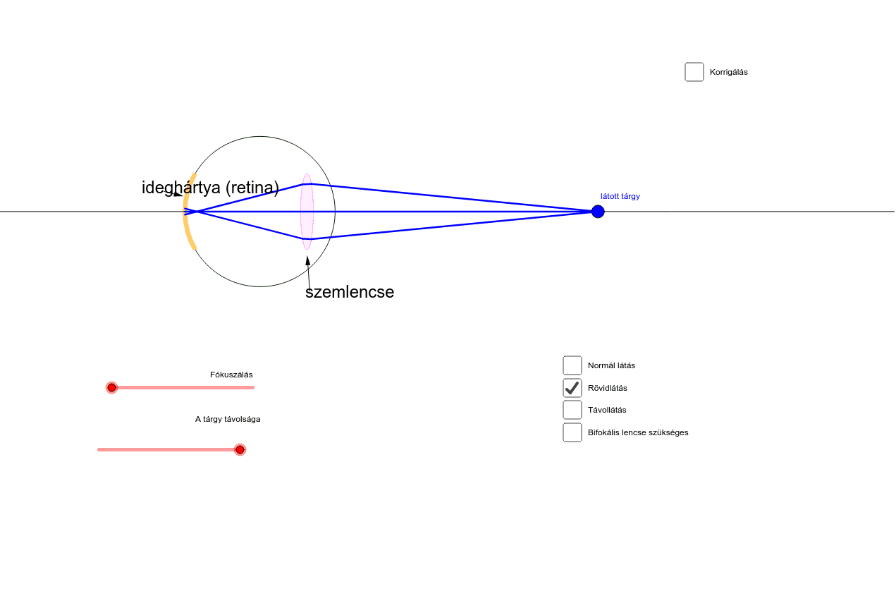 Látáshibák és korrigálásuk készítette Dancza János