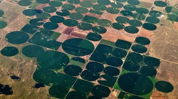 Crop circles in desert