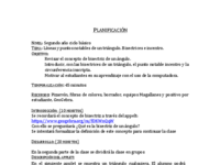 Planificación Tarea final. Ana Silva.pdf