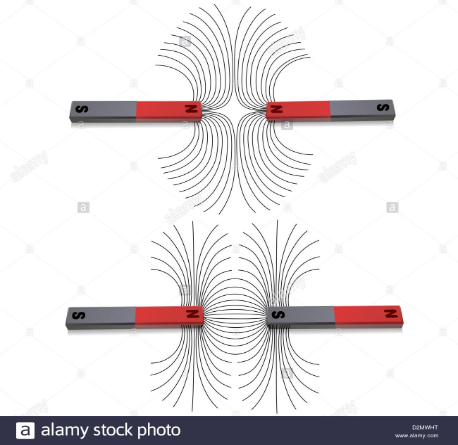 Poli magnetici 