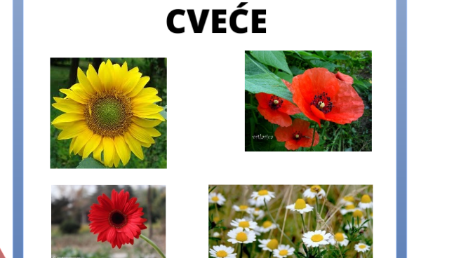 Cveće