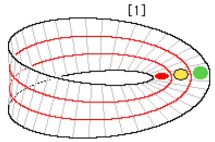 Half-Twist Visualized